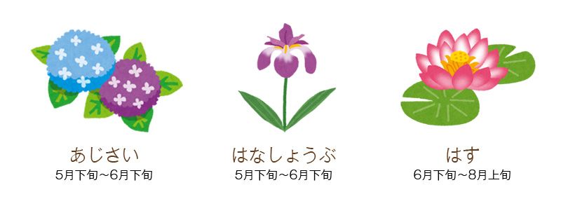 夏の花 夏の花